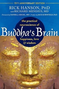 Image of Buddha Brain