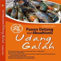 Image of Panen Untung Dari Akuabisnis Udang Galah